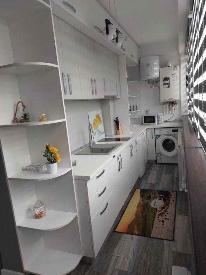 Studio Tulcea Bagian luar foto